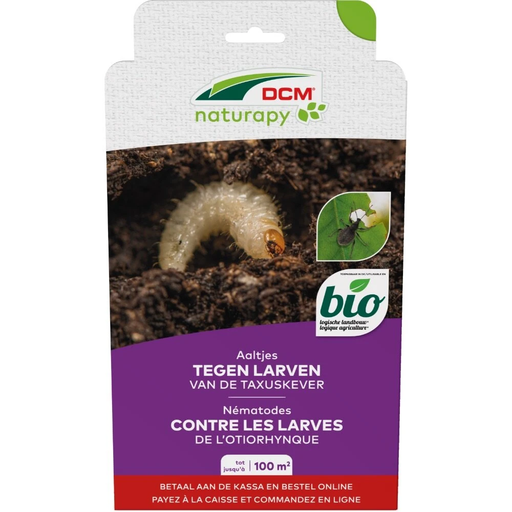 DCM Aaltjes Tegen Larven Van De Taxuskever (Kraussi-Guard®) - Bestelcode - 100 M² (50 Mio. Aaltjes) 3 DCM Aaltjes Tegen Larven Van De Taxuskever (Kraussi-Guard®) - Bestelcode - 100 M² (50 Mio. Aaltjes)