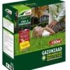 DCM Graszaad Activo Plus (2,25 Kg) 1 DCM Graszaad Activo Plus (2,25 Kg) -Tuingereedschap Winkel dcm graszaad activo plus 1586240788 l