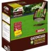 DCM Graszaad Riparo Plus (2,6 Kg) -Tuingereedschap Winkel dcm graszaad riparo plus 1586240789 2 l