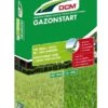 DCM Meststof Gazonstart -Tuingereedschap Winkel dcm meststof gazonstart 1586240779 l
