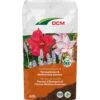DCM Potgrond Terrasplanten & Mediterrane Planten 60 L 1 DCM Potgrond Terrasplanten & Mediterrane Planten 60 L -Tuingereedschap Winkel dcm potgrond terrasplanten mediterrane planten 60 l 1000x1000 6483002c6442a l