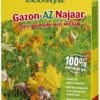 ECOstyle Gazon-AZ Najaar 2 Kg 2 ECOstyle Gazon-AZ Najaar 2 Kg -Tuingereedschap Winkel ecostyle gazon az najaar 2 kg 1614086099 l