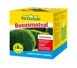 ECOstyle Trechterval Buxusmot
