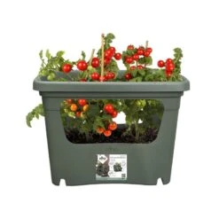 Elho Plantenbak Green Basics Stack & Grow Large Groen -Tuingereedschap Winkel elho plantenbak green basics stack grow large groen 800x800 620e3d4de4622 l