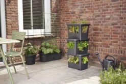 Elho Plantenbak Green Basics Stack & Grow Large Zwart -Tuingereedschap Winkel elho plantenbak green basics stack grow large zwart 800x534 620e3d4f78fb3 l