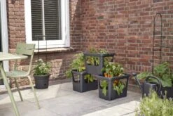 Elho Plantenbak Green Basics Stack & Grow Large Zwart -Tuingereedschap Winkel elho plantenbak green basics stack grow large zwart 800x534 620e3d4fc59c1 l