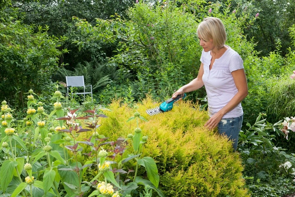 GARDENA Accu Gras- En Buxusschaar Set Accucut Li 5 GARDENA Accu Gras- En Buxusschaar Set Accucut Li - Afbeelding 3