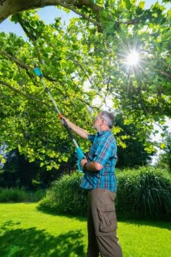 GARDENA Accu Telescopische Snoeizaag TCS 20/18 P4A Solo 8 GARDENA Accu Telescopische Snoeizaag TCS 20/18 P4A Solo -Tuingereedschap Winkel gardena accu telescopische snoeizaag tcs 20 18 p4a solo 1000x1500 640af3255d2cf l