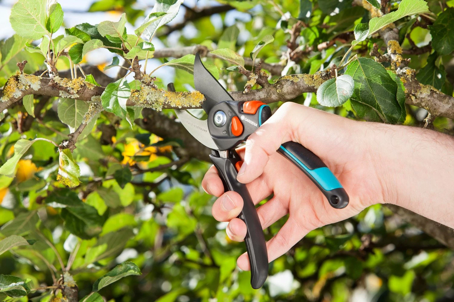 GARDENA Comfort Snoeischaar Instelbaar 4 GARDENA Comfort Snoeischaar Instelbaar - Afbeelding 2