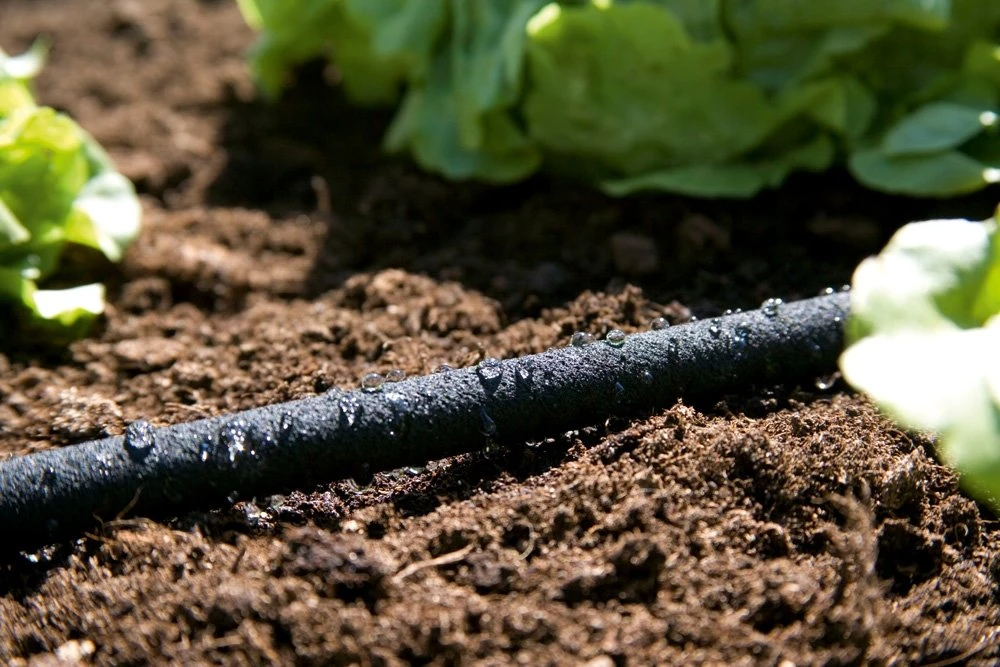 GARDENA Duizenddruppelslang 15m 4 GARDENA Duizenddruppelslang 15m - Afbeelding 2