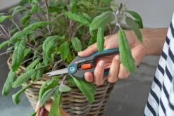 GARDENA FreshCut -Tuingereedschap Winkel gardena freshcut 1500x1000 640af8175f65c l