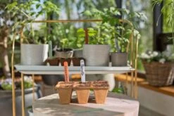 GARDENA FreshCut Set 9 GARDENA FreshCut Set -Tuingereedschap Winkel gardena freshcut set 1500x1000 640af81aaa70a l