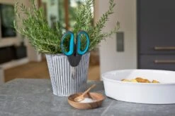 GARDENA HerbCut Set 9 GARDENA HerbCut Set -Tuingereedschap Winkel gardena herbcut set 1500x1000 640af8238ccaf l