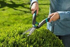 GARDENA PrecisionCut Heggenschaar 7 GARDENA PrecisionCut Heggenschaar -Tuingereedschap Winkel gardena precisioncut heggenschaar 1500x1000 640af7caf009e l