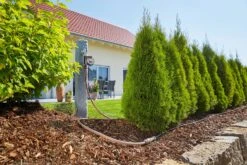 GARDENA Micro-Drip-System Startset M 25m Autom. Rijplanten -Tuingereedschap Winkel gardena startset m 25m autom 1500x1000 640af4f6bb51a l