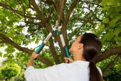 GARDENA Takkenschaar EasyCut 500 B 7 GARDENA Takkenschaar EasyCut 500 B -Tuingereedschap Winkel gardena takkenschaar easycut 500 b 1500x1000 640af7e5d4f80 l