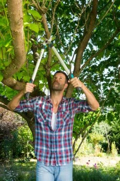 GARDENA Takkenzaag EasyCut 680 B (12003 + 8754 E12) 9 GARDENA Takkenzaag EasyCut 680 B (12003 + 8754 E12) -Tuingereedschap Winkel gardena takkenschaar easycut 680 b 8754 1000x1500 640af7ec497bd l