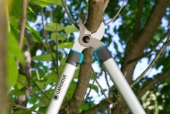 GARDENA Takkenzaag EasyCut 680 B (12003 + 8754 E12) 8 GARDENA Takkenzaag EasyCut 680 B (12003 + 8754 E12) -Tuingereedschap Winkel gardena takkenschaar easycut 680 b 8754 1500x1001 640af7ebad3ab l