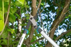 GARDENA Takkenschaar EnergyCut 750 B 7 GARDENA Takkenschaar EnergyCut 750 B -Tuingereedschap Winkel gardena takkenschaar energycut 750 b 1500x1000 640af848a316f l