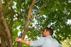 GARDENA Takkenschaar TeleCut Long 650-900 B -Tuingereedschap Winkel gardena telecut long 650 900b 1500x1001 640af7f15744f l