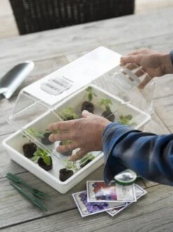 Nature Deksel Voor Kweekbak 55x31cm -Tuingereedschap Winkel nature deksel voor kweekbak 55x31cm 595x800 6214a0230c942 l