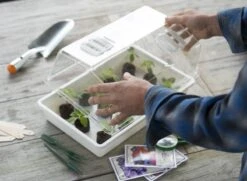 Nature Deksel Voor Kweekbak 55x31cm -Tuingereedschap Winkel nature deksel voor kweekbak 55x31cm 800x587 6214a0233f631 l