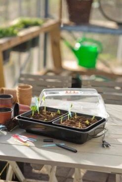 Nature Kweekkas Verwarmd 38x24cm 10 Nature Kweekkas Verwarmd 38x24cm -Tuingereedschap Winkel nature kweekkas verwarmd 38x24cm 534x800 6214a026e40ab l