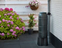 Nature Slimline' Regenton Groen - 100L 6 Nature Slimline' Regenton Groen - 100L -Tuingereedschap Winkel nature slimline regenton groen 100l 1582732977 l