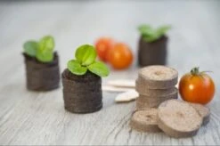 Nature Turftabletten 48st 8 Nature Turftabletten 48st -Tuingereedschap Winkel nature turftabletten 48st 800x532 6214a01453d91 l