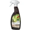 Pokon Bio Plantkuur Bladinsectgevoelige Planten Spray 750ml 2 Pokon Bio Plantkuur Bladinsectgevoelige Planten Spray 750ml -Tuingereedschap Winkel pokon bio plantkuur bladinsecten spray 750ml 1614005884 l