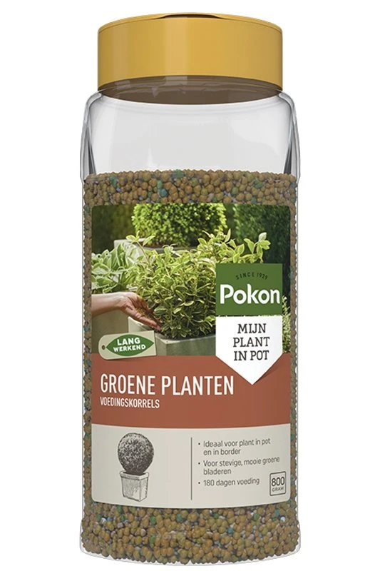 Pokon Groene Planten Voedingskorrels 800g 3 Pokon Groene Planten Voedingskorrels 800g