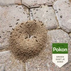 Pokon Tegen Mieren Korrels 400gr -Tuingereedschap Winkel pokon tegen mieren korrels 400gr 1000x1000 6221fb52c5ede l