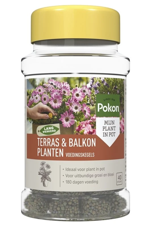 Pokon Terras & Balkon Planten Voedingskegels 40 Stuks 3 Pokon Terras & Balkon Planten Voedingskegels 40 Stuks
